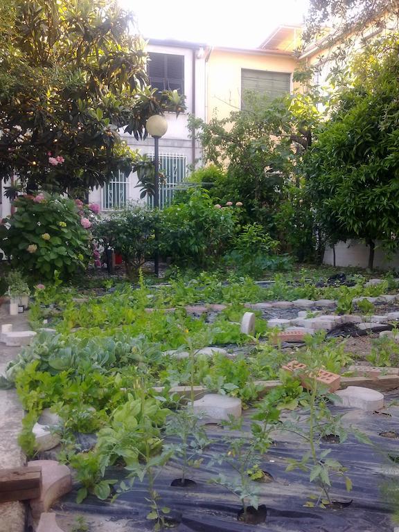 Eco B&B I Due Oleandri Marina Di Carrara Bagian luar foto