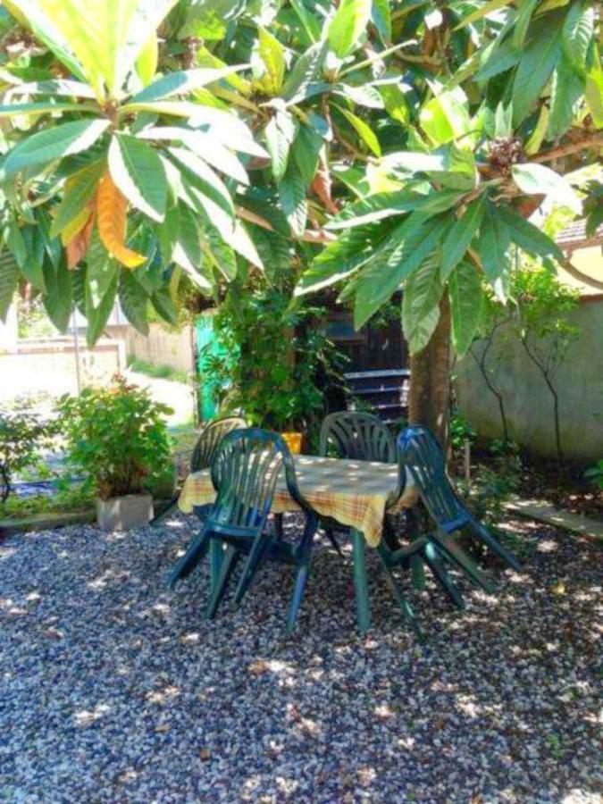 Eco B&B I Due Oleandri Marina Di Carrara Bagian luar foto